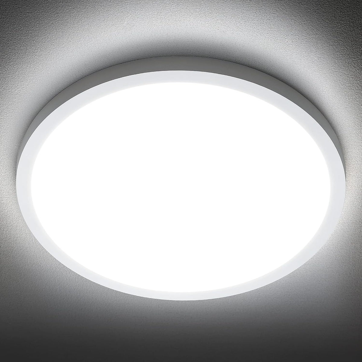 SunRider LED Flush Mount Ceiling Light Fixture, 6000K Cool White, 12 Inch 24W