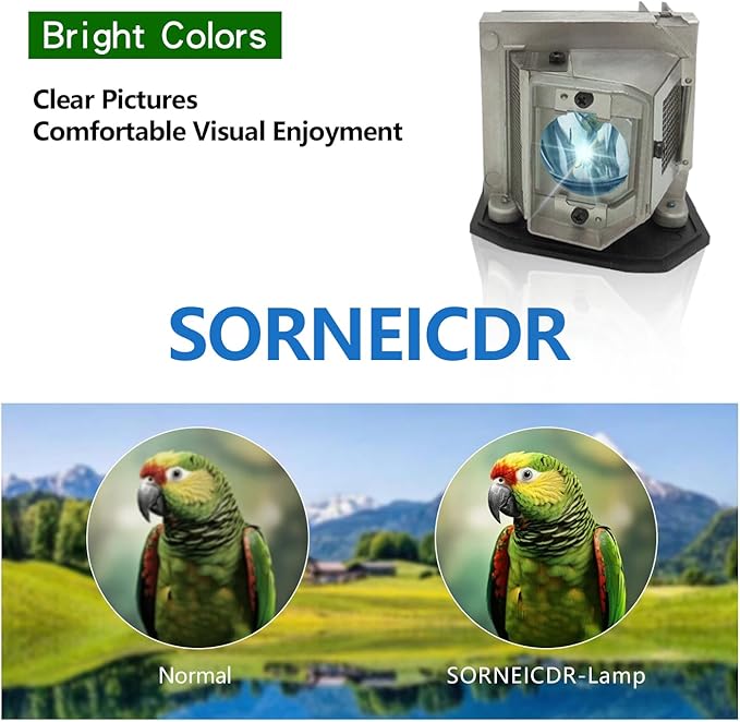 SORNEICDR BL-FU240A/SP.8RU01GC01/BL-FU190E/SP.8VC01GC01 Replacement Projector