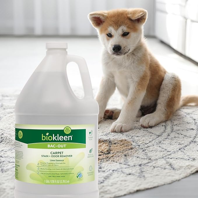 Biokleen Bac-Out Pet Stain Remover