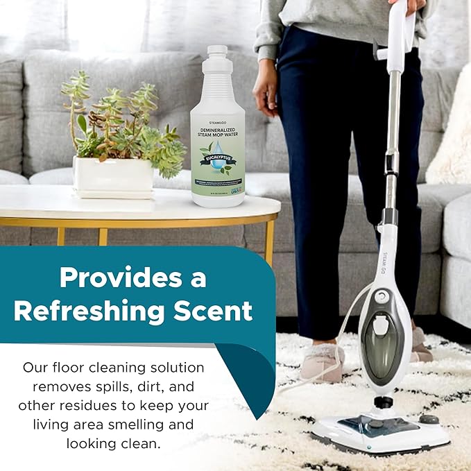 Steam & Go Demineralized Water Cleaning Solution (Pack of 6)