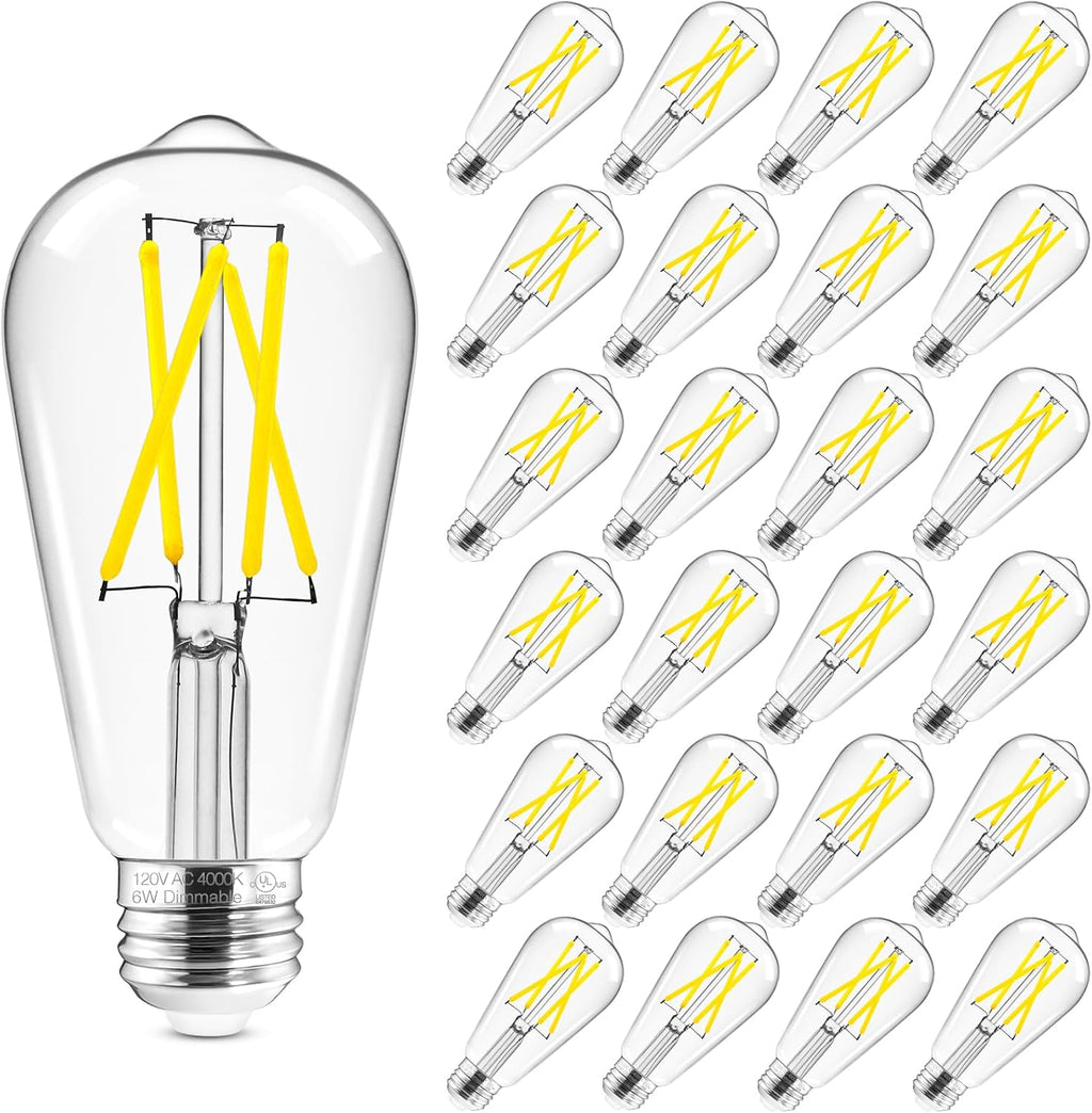 Hizashi Vintage LED Edison Bulb Dimmable, 6W Equivalent 60W, 4000k Neutral White (24 Pack)