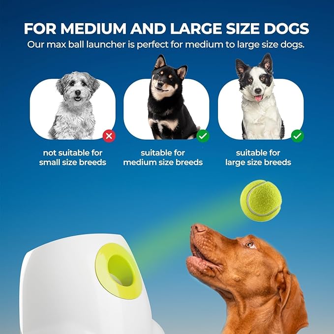 ALL FOR PAWS Automatic Ball Launcher for Dogs Interactive Puppy Pet Ball (6 Pcs)