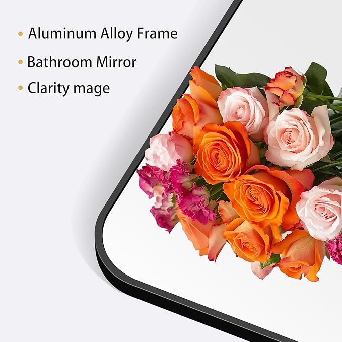 60" x 40"Bathroom Mirror, Matte Black Wall Mirror