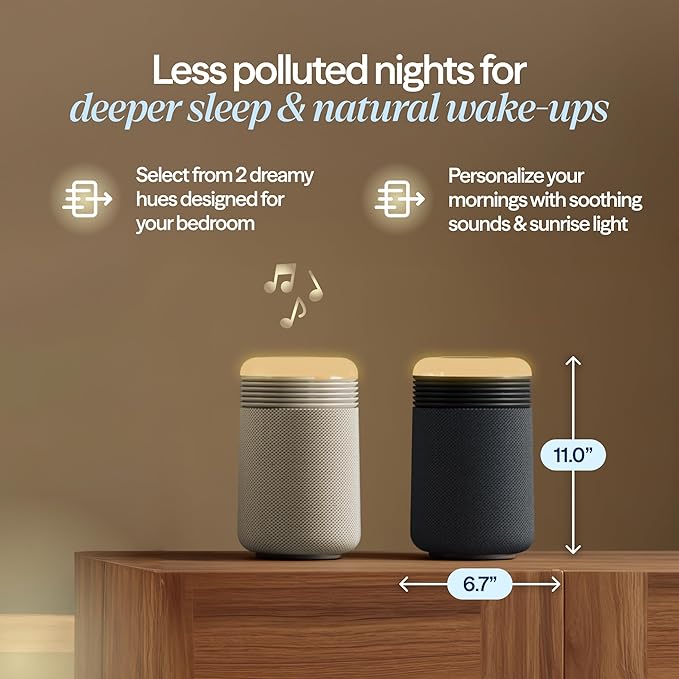 BLUEAIR Purifier for Bedroom