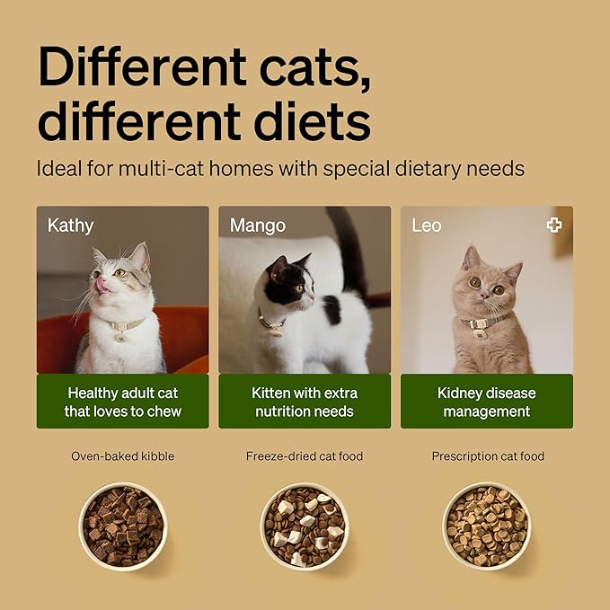 PETLIBRO RFID Automatic Cat Feeders