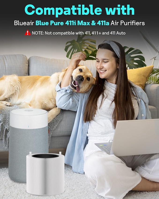 Leemone 411i Max & 411a Max SmokeBlock Replacement Filter Compatible (2 Pack)
