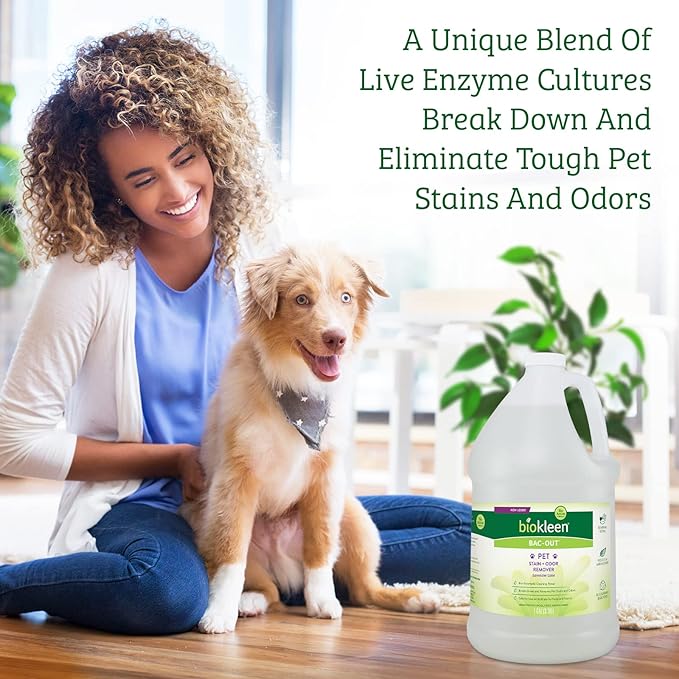 Biokleen Bac-Out Pet Stain Remover