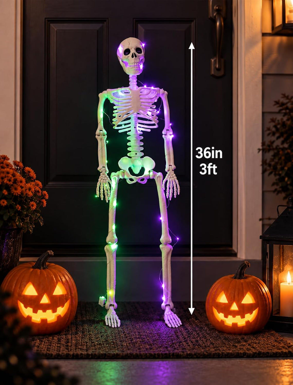 3 FT Light up Skeleton Halloween Decor: 36inch Posable Skeleton for Outdoor