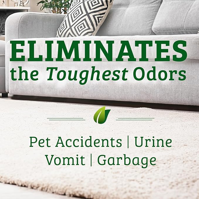 Biokleen Bac-Out Pet Stain Remover
