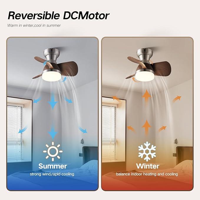 Myleoron 20 Inch Ceiling Fan