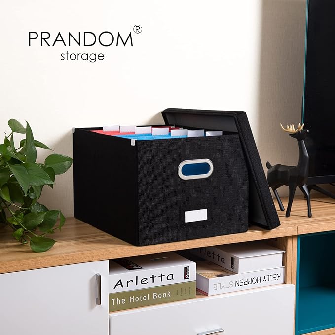 PRANDOM File Organizer Box (Set of 2)
