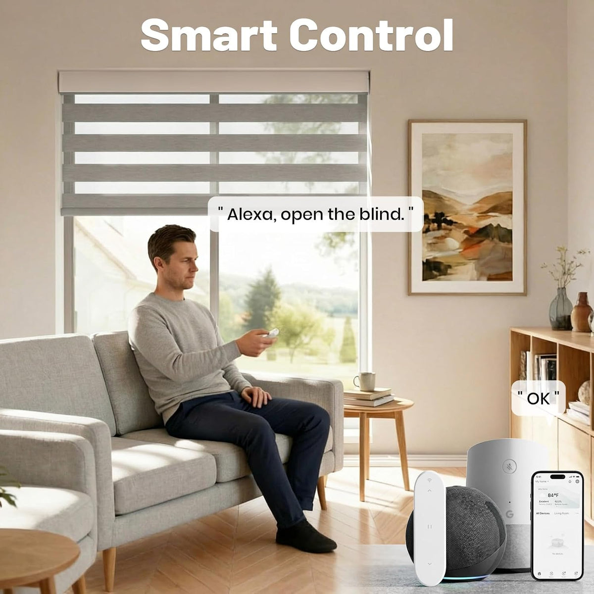 Motorized Zebra Blinds with Remote, Cordless Smart Shades
