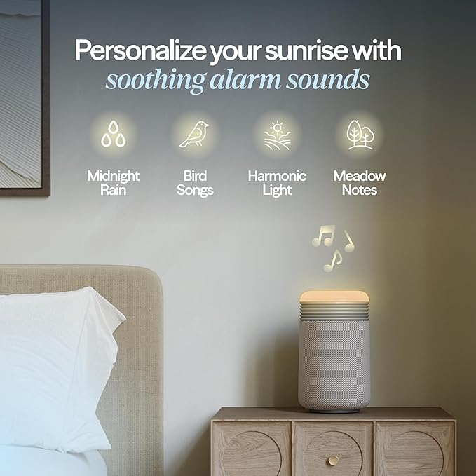 BLUEAIR Purifier for Bedroom