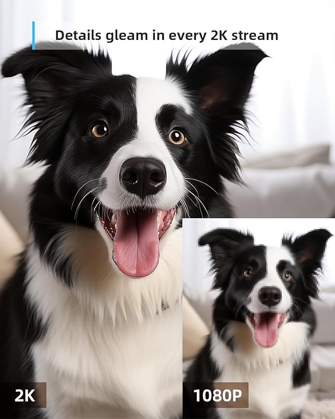 blurams 5G Indoor Cameras for Home Security, 2K Pet Camera