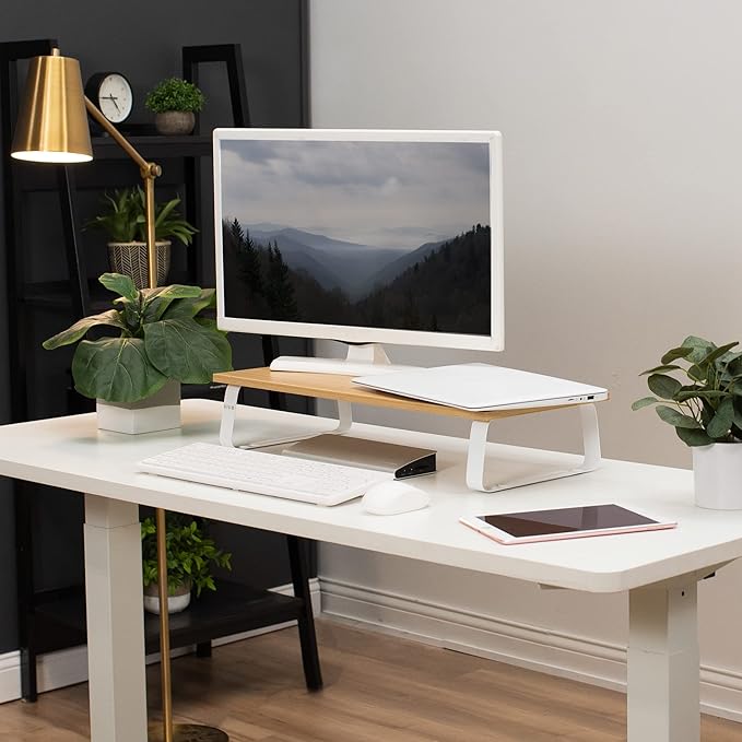 VIVO 24 inch Monitor Stand, Wood and Steel Desktop Riser, Small TV, Ergonomic