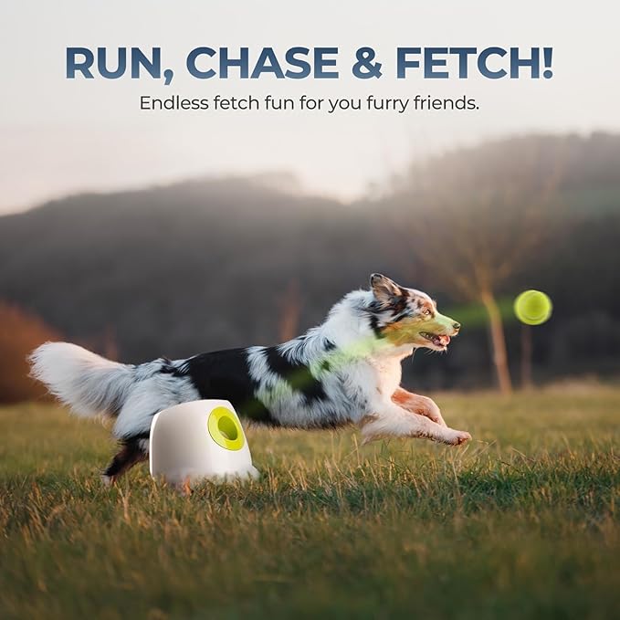 ALL FOR PAWS Automatic Ball Launcher for Dogs Interactive Puppy Pet Ball (6 Pcs)