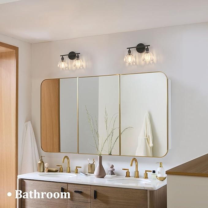 Shenmoyl Bathroom Light Fixtures, 2-Light Black Vanity Wall Light Over Mirror