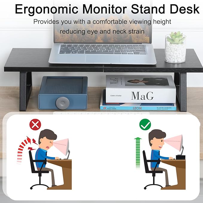 TEAMIX 24 inch Monitor Stand Riser, Printer Stand Riser