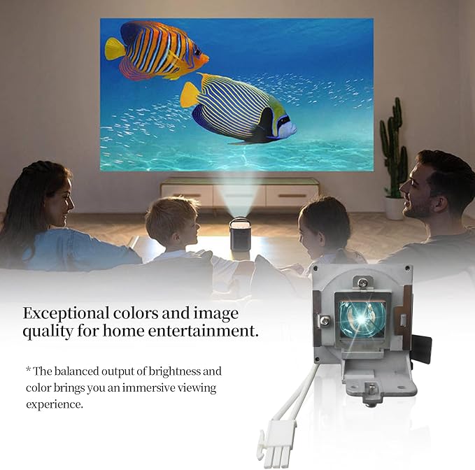 SORNEICDR 5J.J9R05.001 Replacement Projector Lamp Bulb Compatible