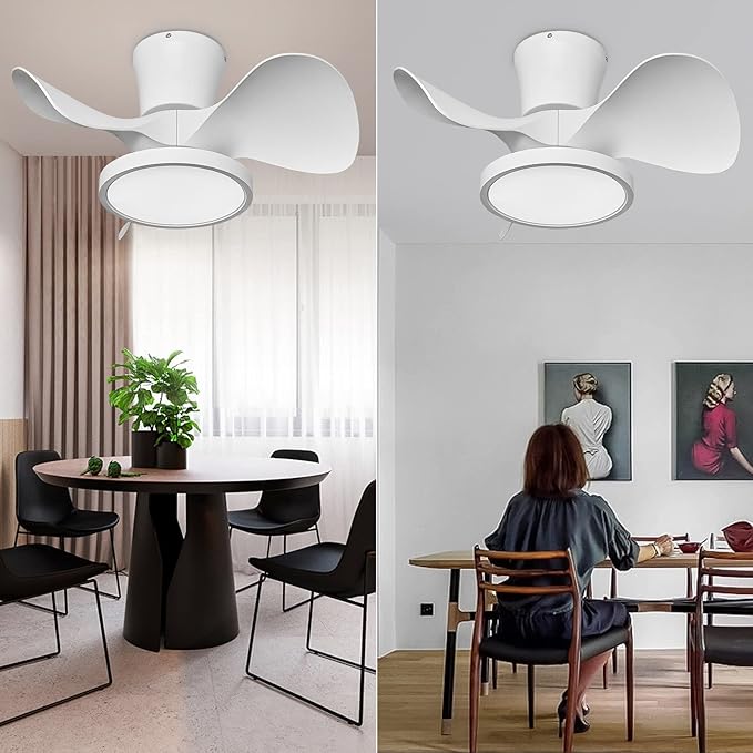 ocioc Quiet Ceiling Fan with LED Light 22 inch Large Air Volume Remote Control