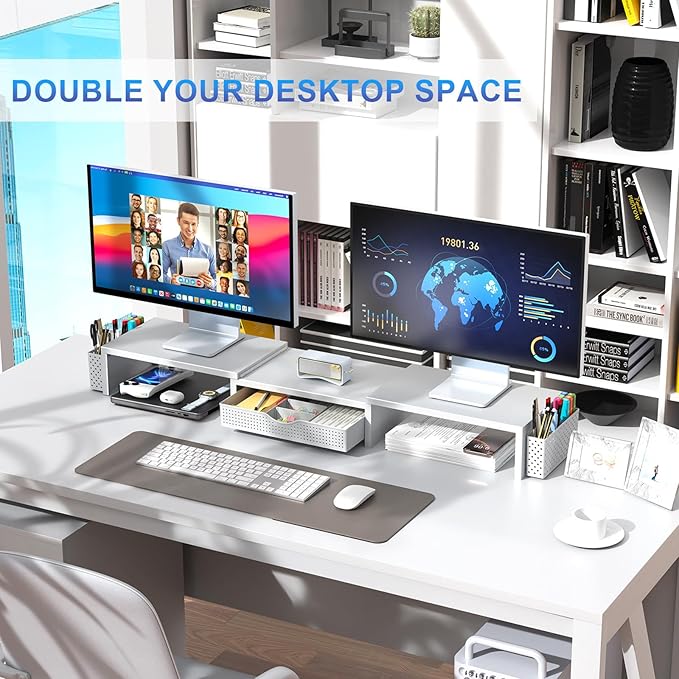 gianotter Dual Monitor Stand Riser, Desk Organizer