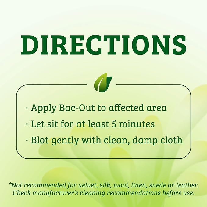 Biokleen Bac-Out Pet Stain Remover