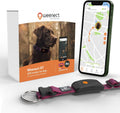 Weenect Dog XT - New GPS Collar