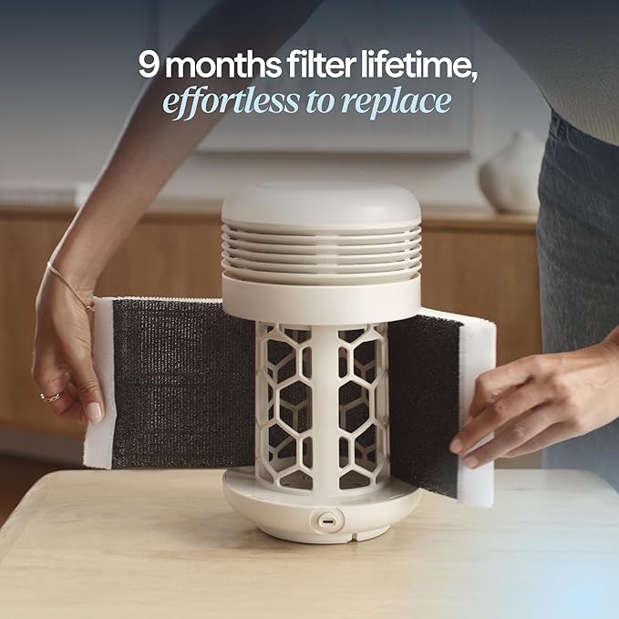 BLUEAIR Purifier for Bedroom