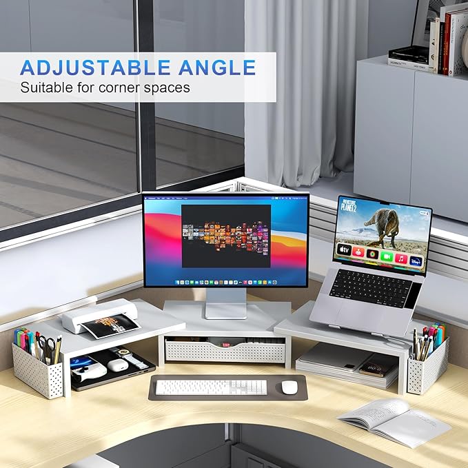 gianotter Dual Monitor Stand Riser, Desk Organizer