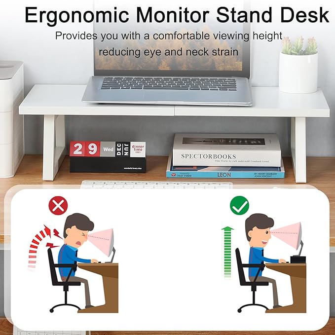 TEAMIX 24 inch Monitor Stand Riser, Printer Stand Riser