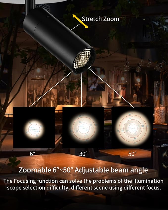 Gpaillumic Zoomable LED Ceiling Spotlight Fixture, Flush Mount Adjustable