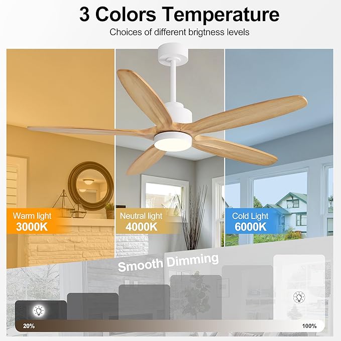 WINGBO 54" Ceiling Fan with Light