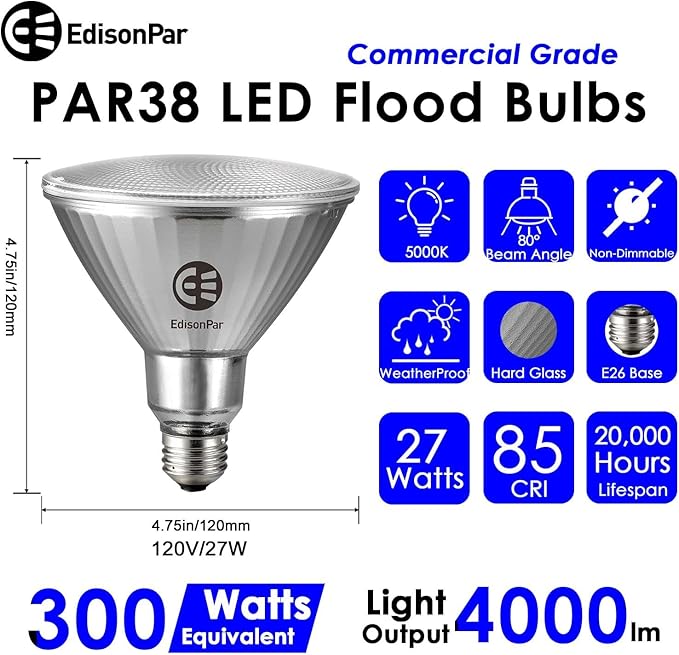 EdisonPar Full-Glass PAR38 LED Flood Light Bulbs Outdoor/Indoor Equivalent 300 (4-Pack)