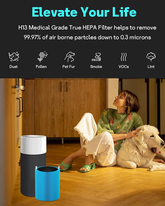 Leemone Blue Pure 411 Series AllergenBlock Filter Compatible (2 Pack)