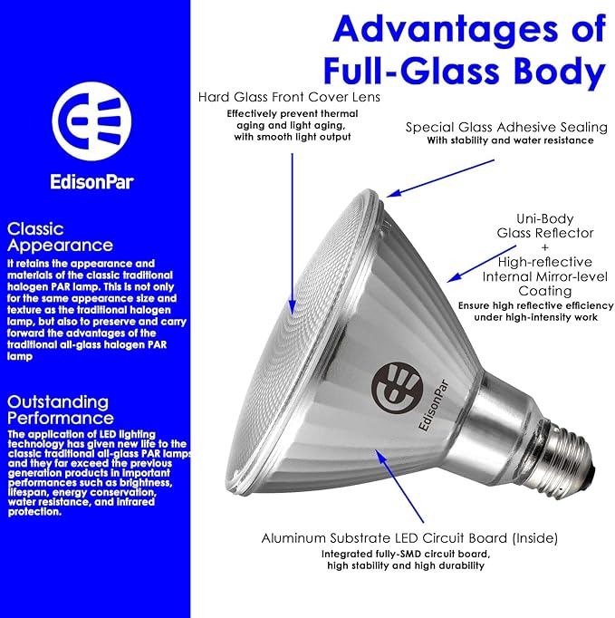EdisonPar Full-Glass PAR38 LED Flood Light Bulbs Outdoor/Indoor Equivalent 350 (2-Pack)