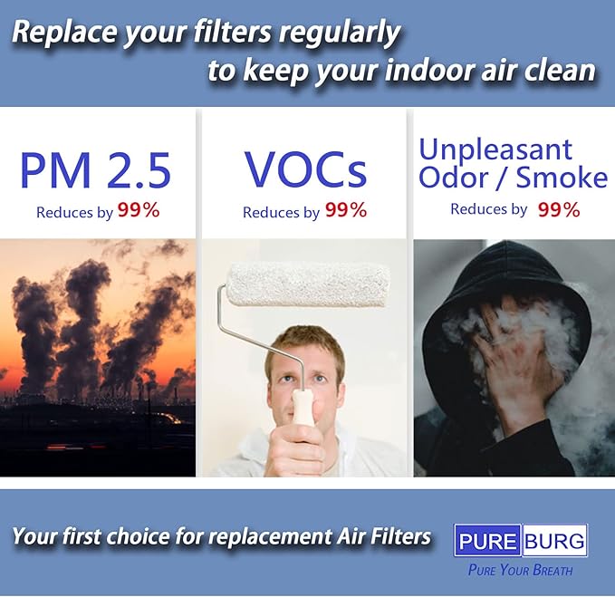 PUREBURG Replacement Filter Compatible (Pack of 4)