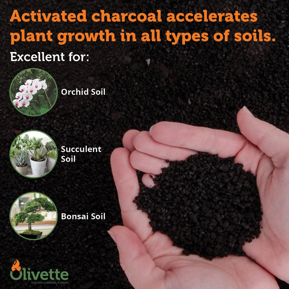 OLIVETTE Organic Biochar Activated Charcoal for Plants, 3 Bags