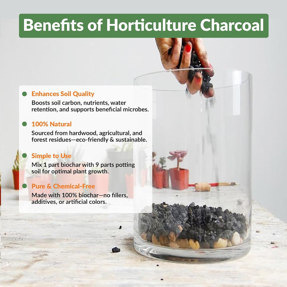 Old Potters Premium Horticultural Charcoal Chips, Natural Soil Amendment for ...