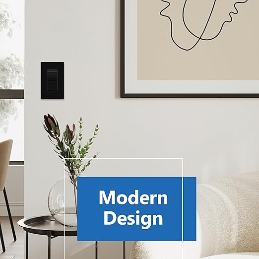 LIDER Balck Minimalist Decorator Switch, Frameless Paddle Light Switch