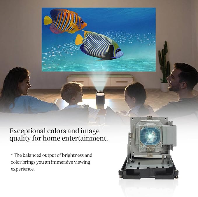 SORNEICDR BL-FU310B / 5811118436-SOT Replacement Projector Lamp Bulb Compatible