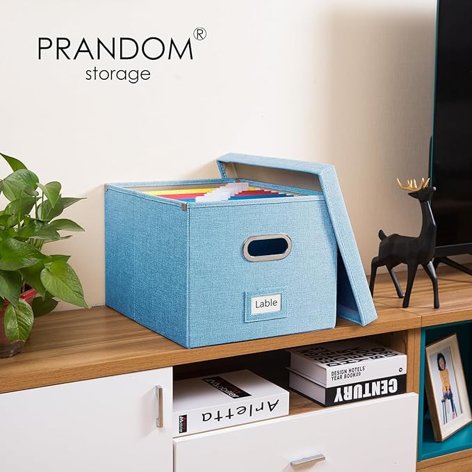 PRANDOM File Organizer Box (Set of 4)