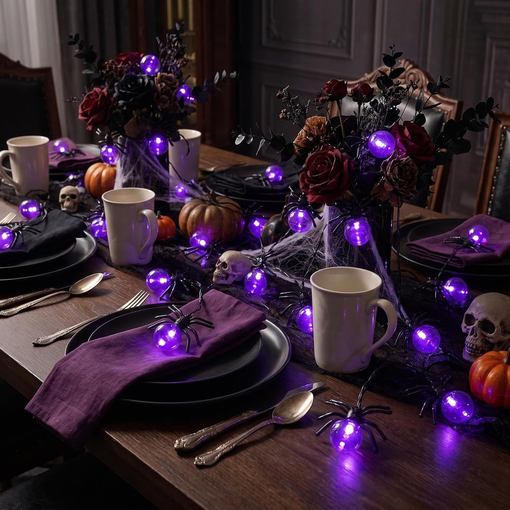 Halloween Lights Outdoor/Indoor,20FT 40LED Purple Spider String Lights