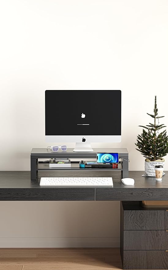 GECKOSTROLL 2-Tier Metal Computer Monitor Stand & Laptop Desk Shelf, 21.6 Inches