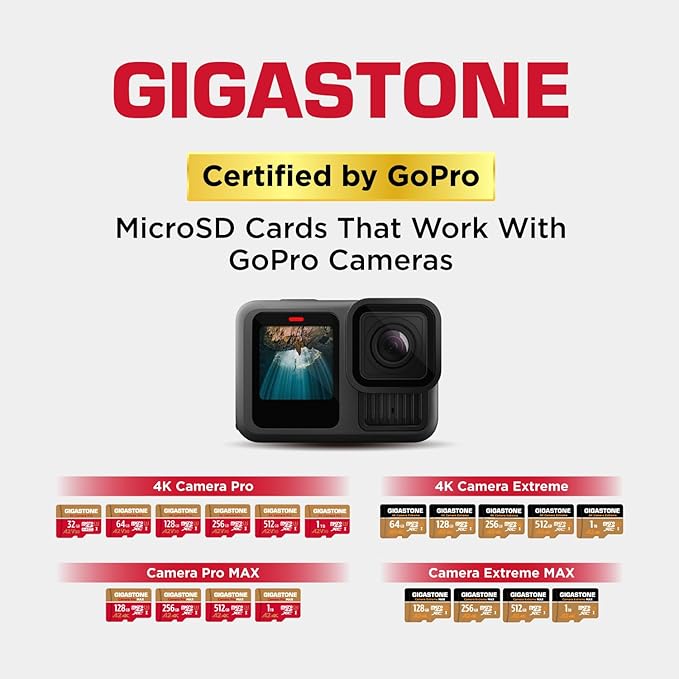 【5-Years Data Recovery】 GIGASTONE 256GB Micro SD Card
