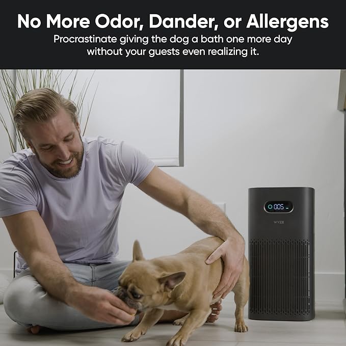 Wyze Air Purifier with Allergen Filter,