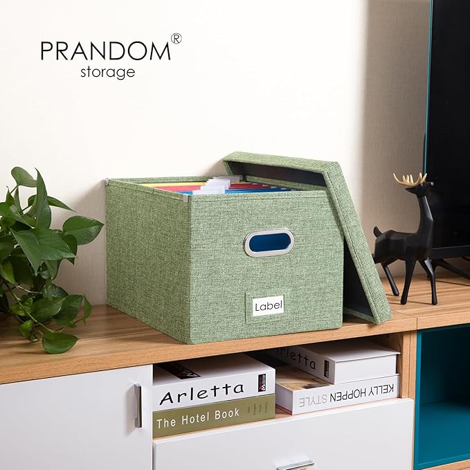 PRANDOM File Organizer Box (Set of 2)