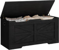 Hzuaneri 39" Modern Storage Chest | 50 Gal | 330lb Seat | Black