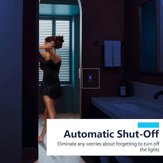 LIDER Motion Sensor Switch (2-Pack)