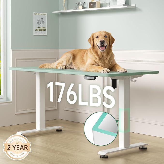 Veken 55 Inch Large Electric Standing Desk, 4 Memory Heights Adjustable
