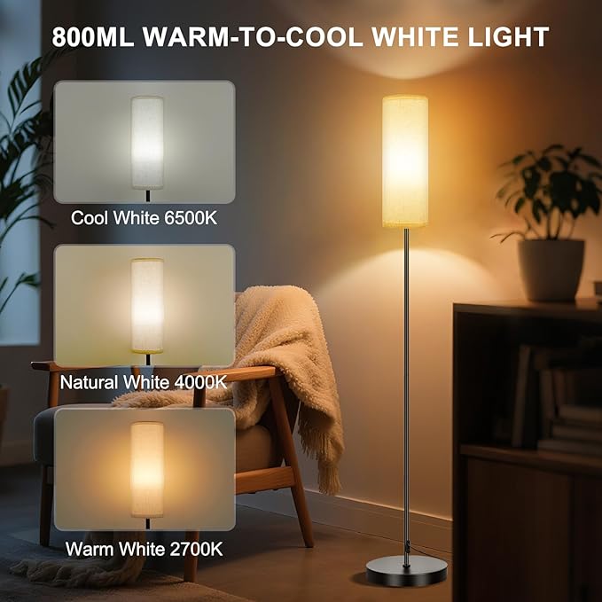 FRIDEKO HOME Floor Lamp, Color Changing Ambient Lighting